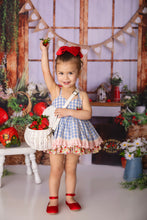 Load image into Gallery viewer, Country Market Skirted Romper
