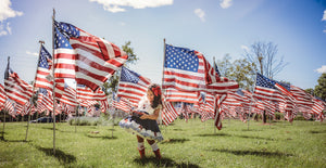 Sweet Land of Liberty Dress Set