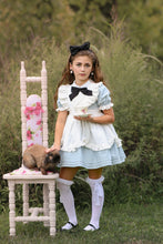 Load image into Gallery viewer, Alice in Wonderland
