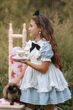 Load image into Gallery viewer, Alice in Wonderland
