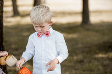 Load image into Gallery viewer, Plaid Bow Tie
